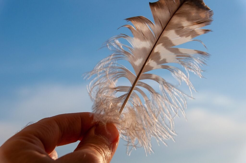 feather, hand, lightweight, texture, macro